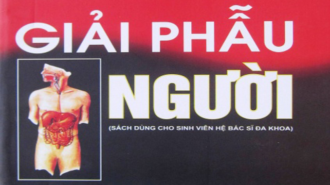 giaiphaunguoi