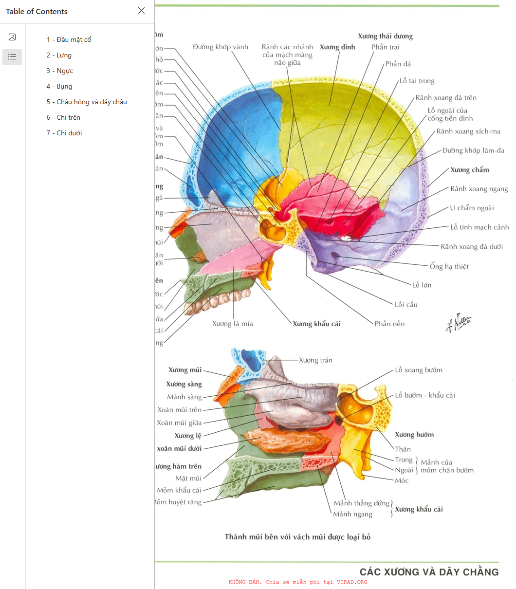 Atlas giải phẫu người Frank H. Netter